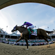Illustration for article titled Images From The 140th Kentucky Derby